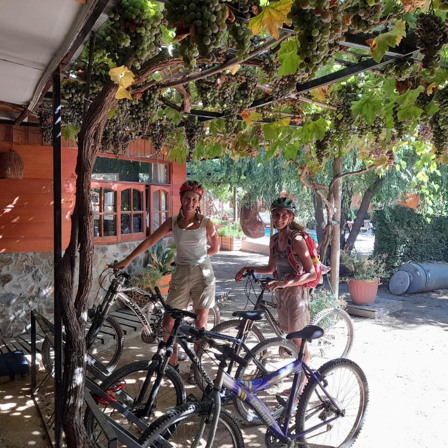 Cabanas Refugio Nativo Santa Cruz Bagian luar foto